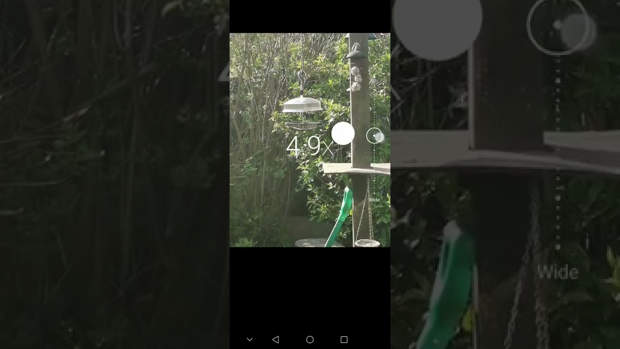 Huawei P30 Camera Zoom Test!