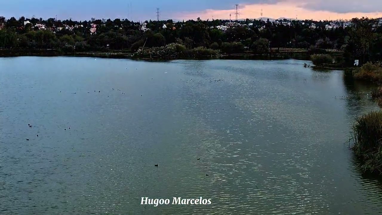 una tarde en el lago
