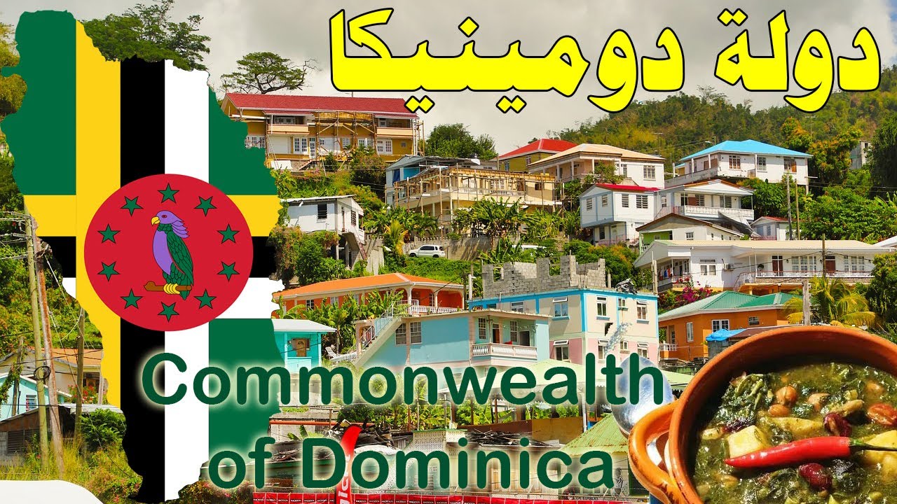 معلومات و حقائق عن دولة دومينيكا – 🇩🇲 Dominica – جزيرة الطبيعة فى الكاريبى 🌴🌊