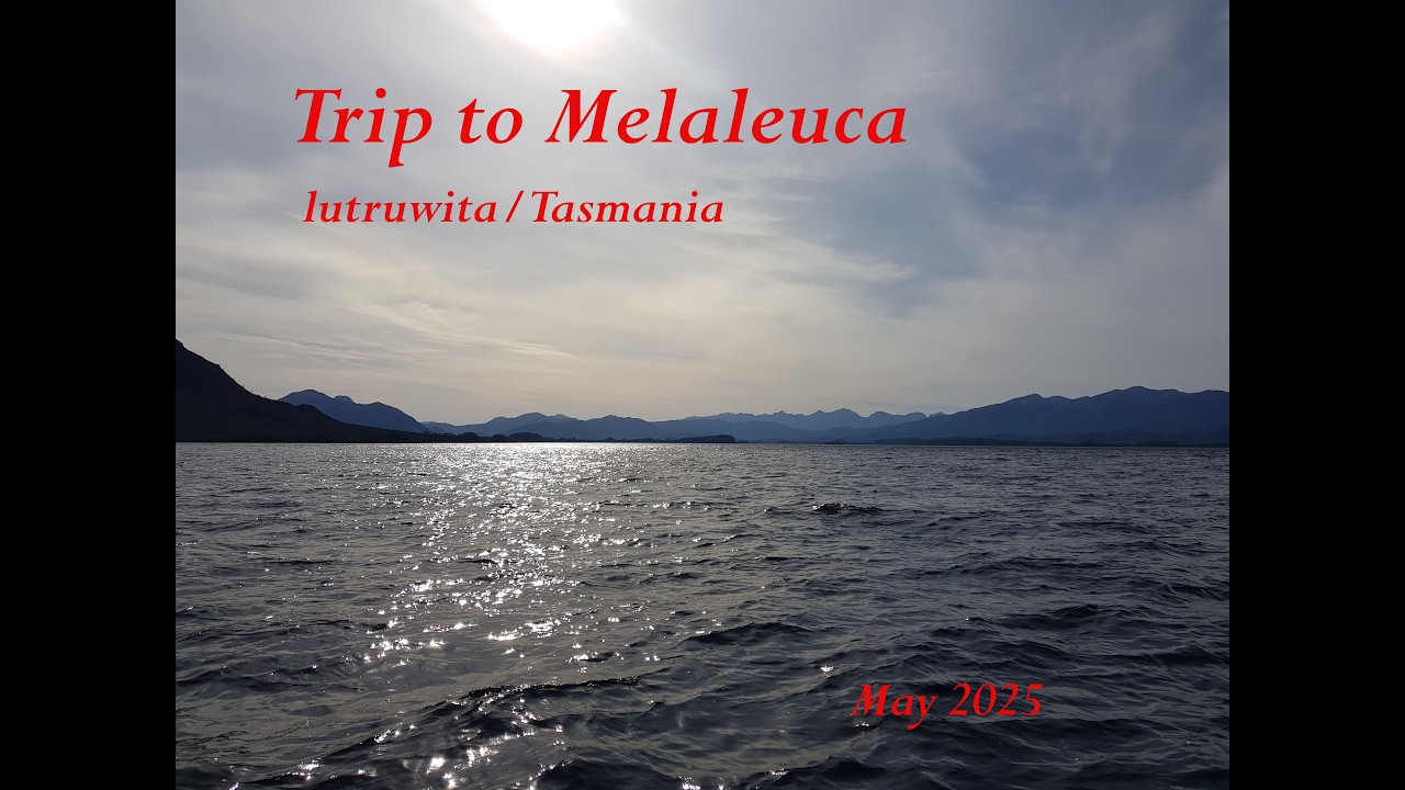 Trip to Melaleuca