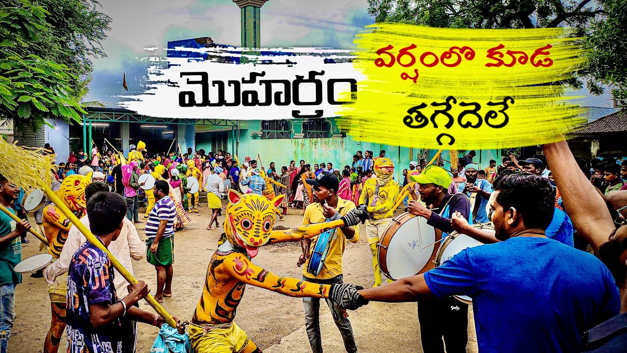 Ma voori pedhapululu || varshamlo kuda thaggedhele || allipur pedhapulula vlog