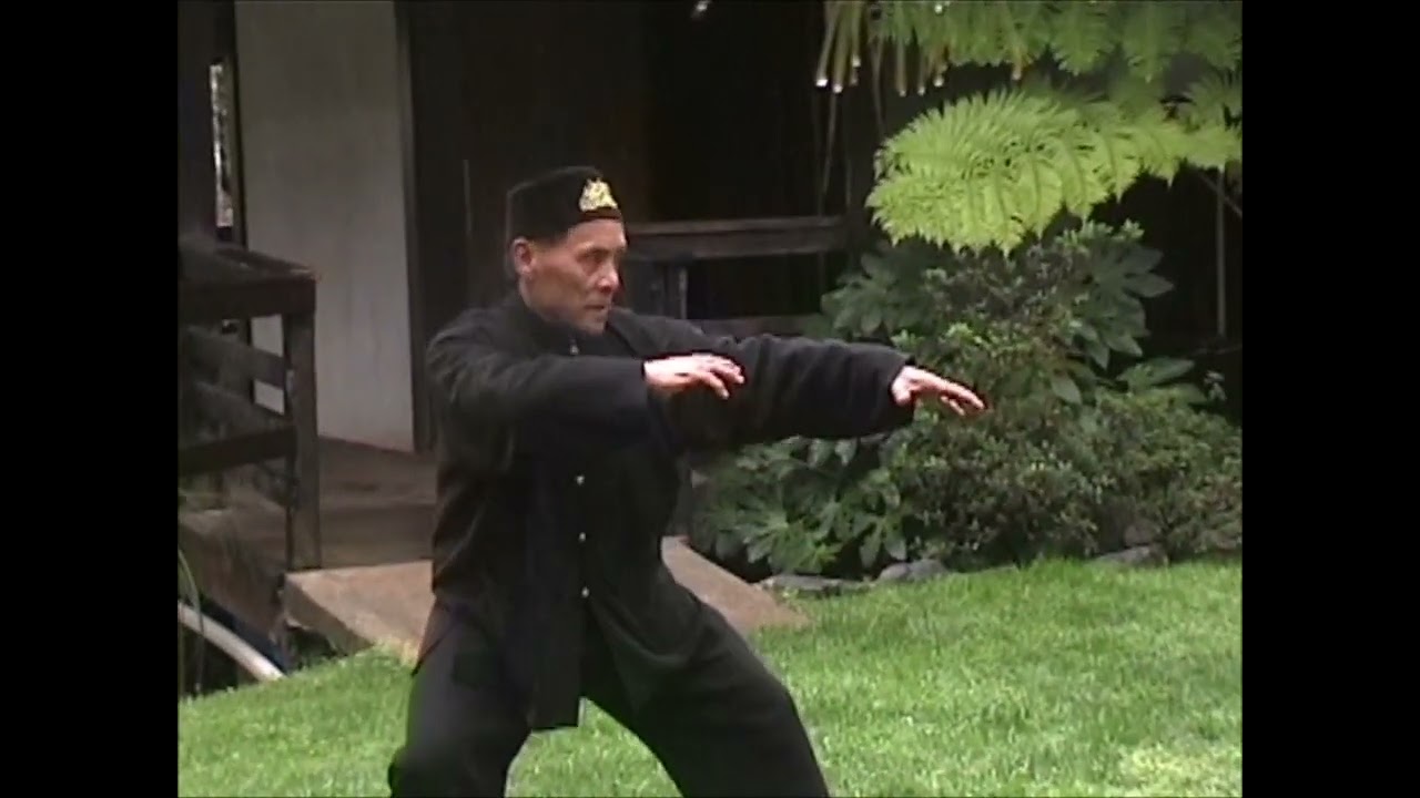 李见宇 Yiquan Force Testing 意拳.