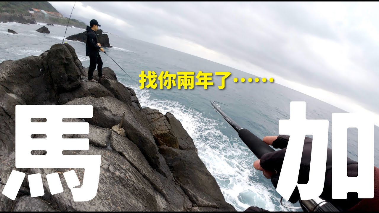 岸拋鐵板【第30集】！兩年了！好久不見的馬加終於現蹤了？#fishing #釣魚 #海釣り #岸拋 #山哥釣魚頻道