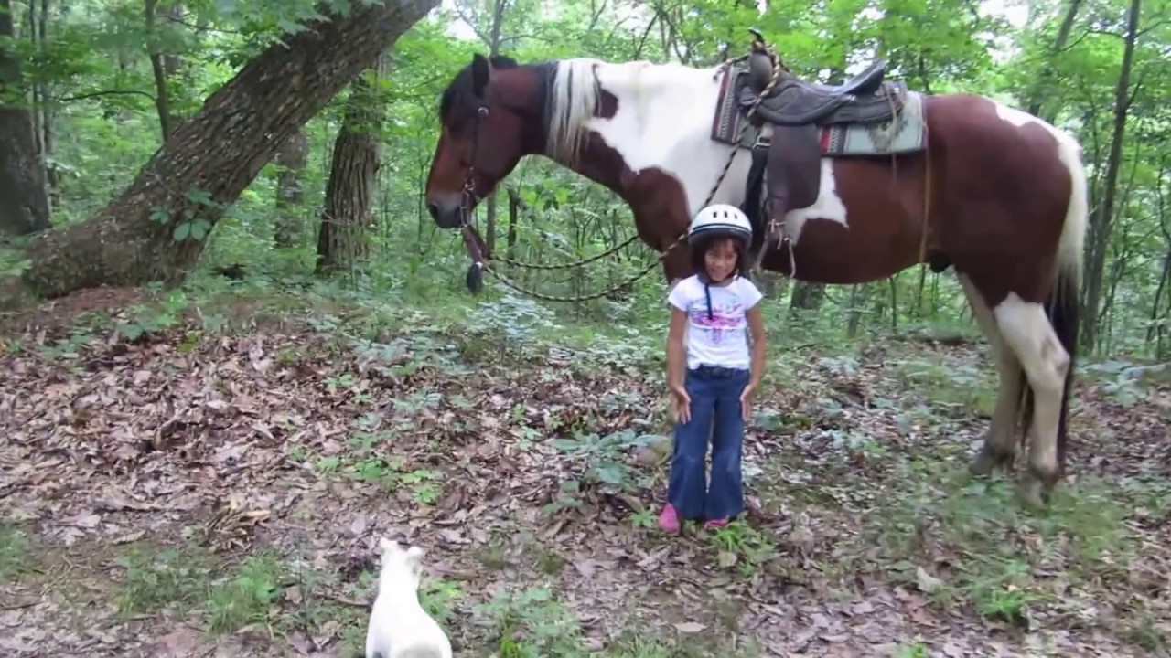 Little girls, Big Horses