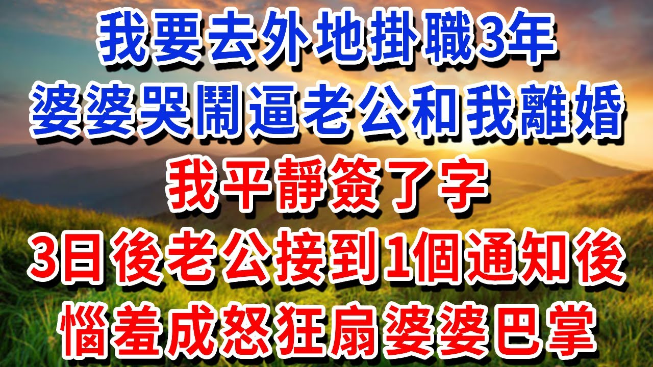 我要去外地掛職3年，婆婆哭鬧逼老公和我離婚，我平靜簽了字。三日後，老公接到通知：單位宿舍是家屬配套，需即刻騰退。#書婷講故事 #為人處世#生活經驗#情感故事#晚年哲理#說故事#完結文