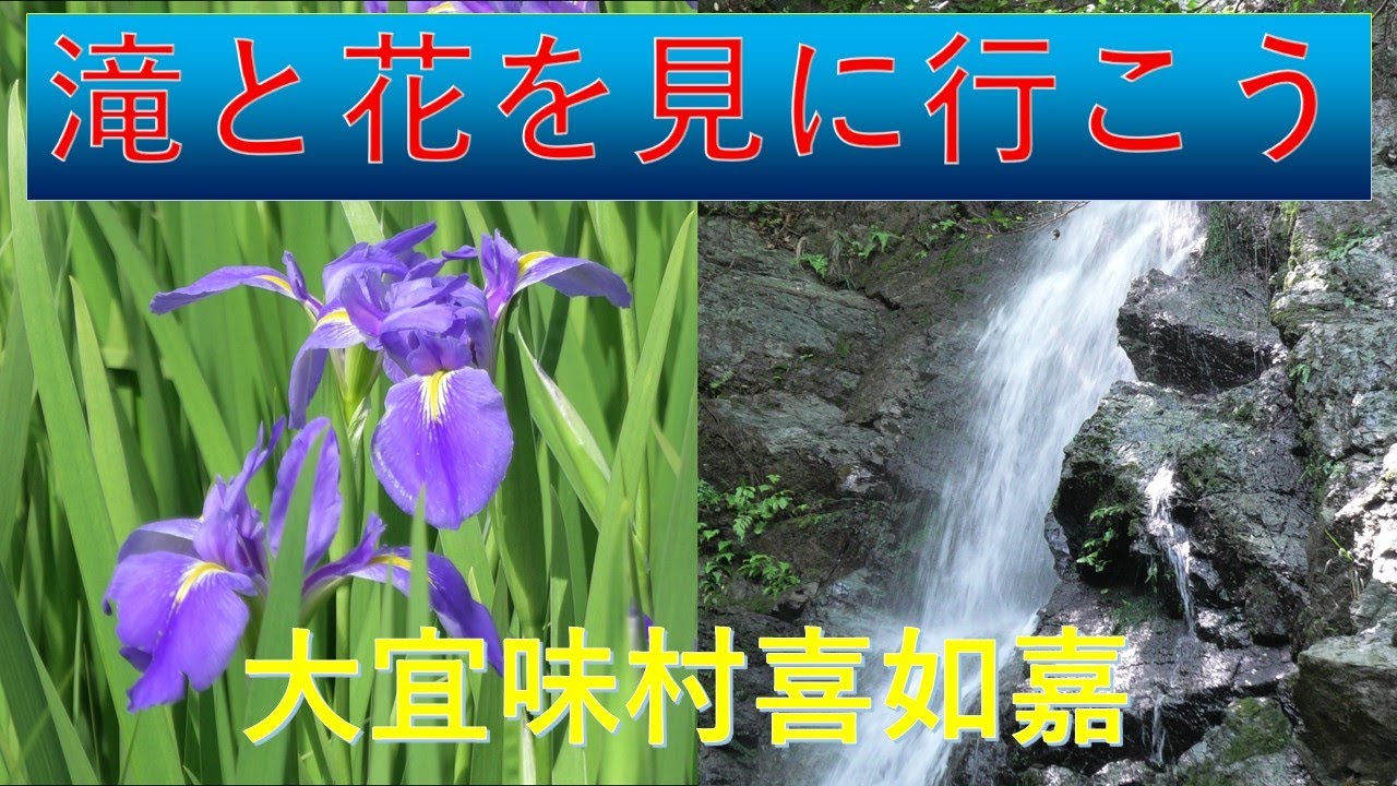 沖縄県大宜味村喜如嘉のオクラレルカ畑と七滝