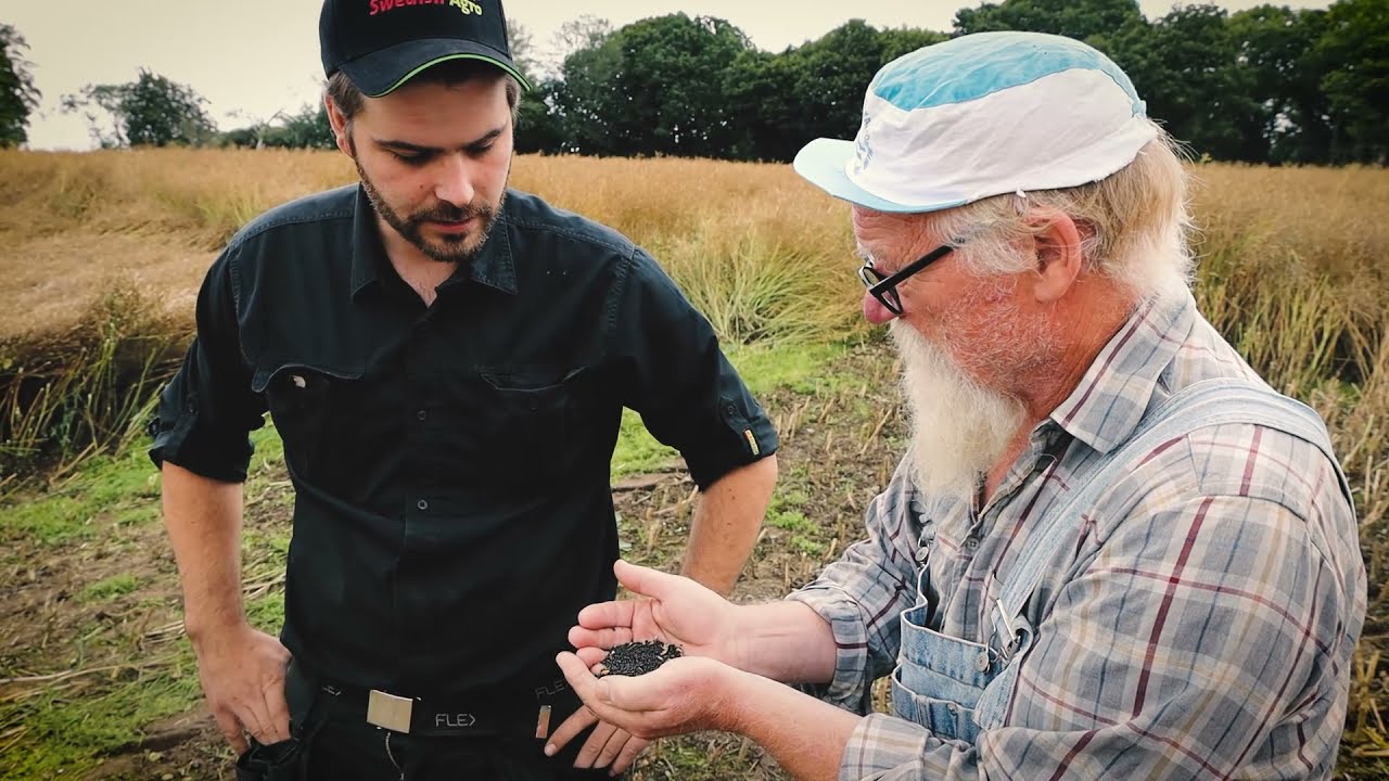 Film för LRF angående raps och skörd