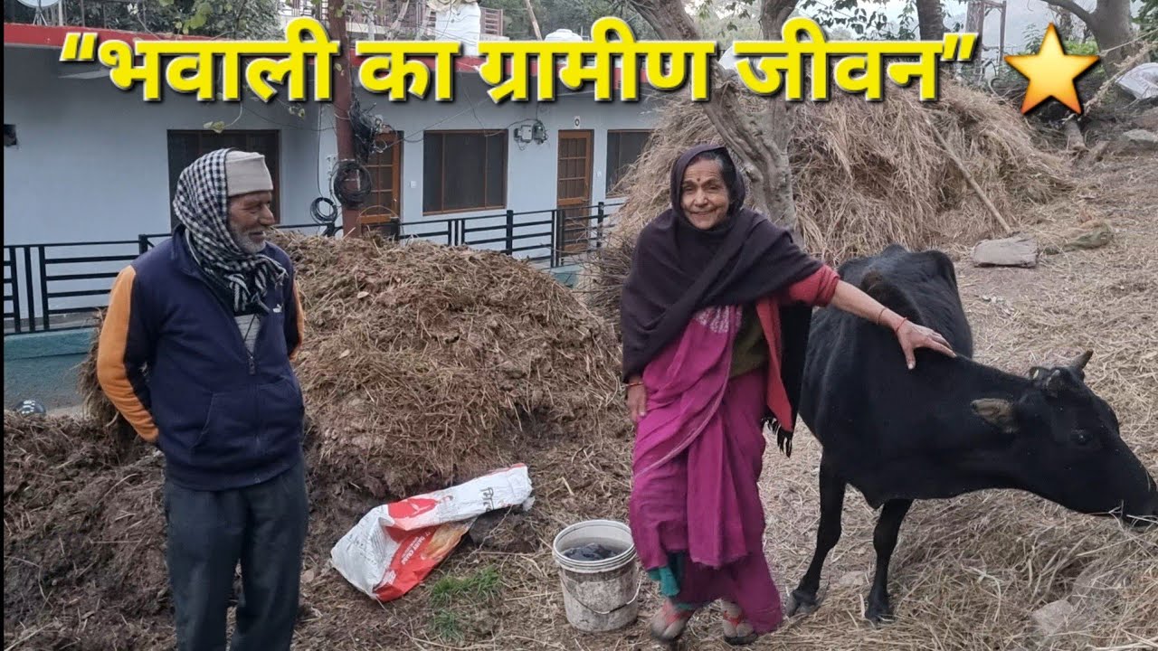 “भवाली का ग्रामीण जीवन 🌾 | पहाड़ों में सादगी, संघर्ष और सुकून | Uttarakhand”