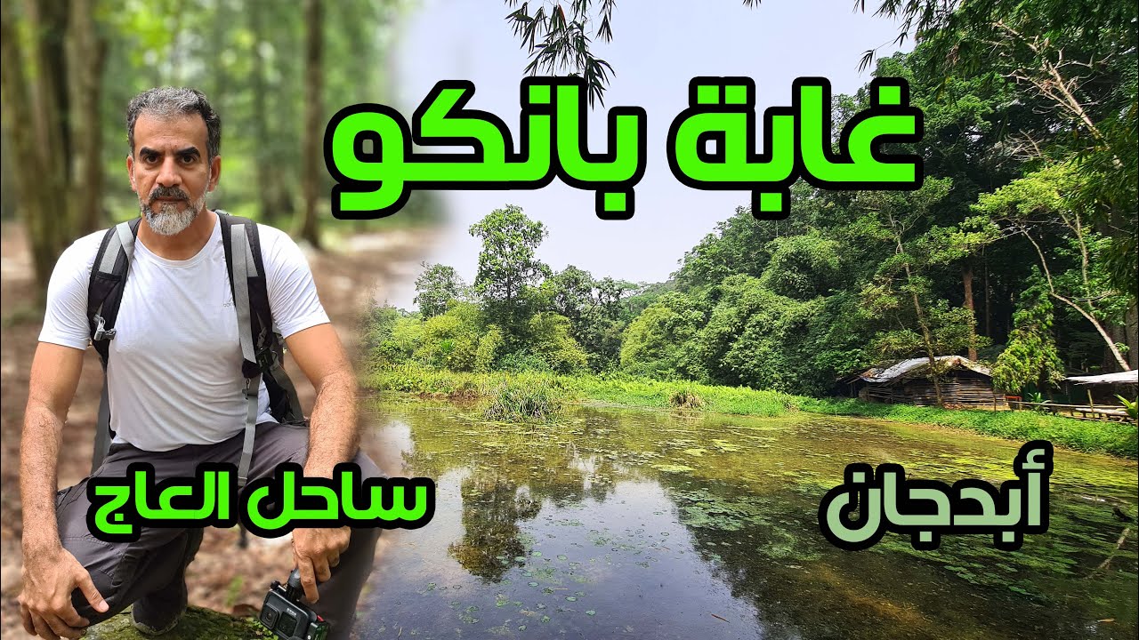 دخلت غابة بانكو في ساحل العاج | مدينة أبدجان | 2024