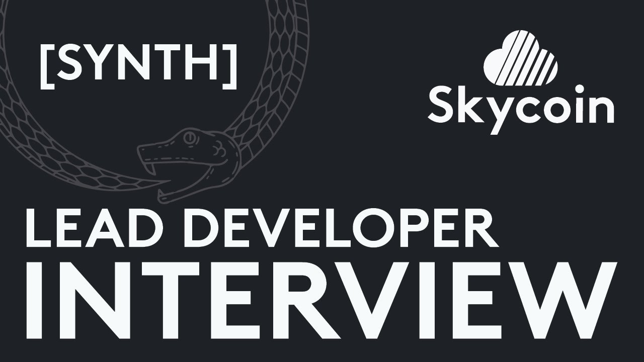 SKYCOIN INTERVIEW: Lead Developer [ Synth ]