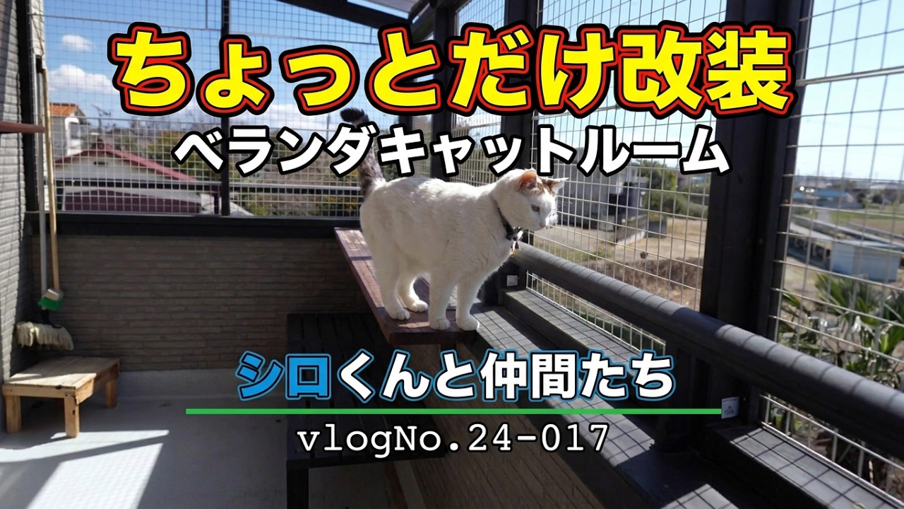 【人気動画】ベランダキャットルーム（猫用ベランダ）ちょっとだけ改装【キャットウォーク】