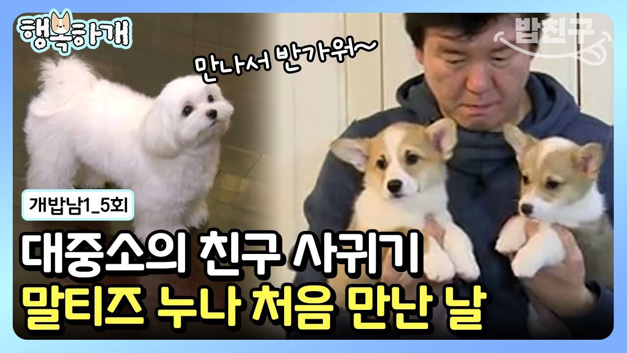 [#행복하개] 귀여움으로 기선제압하는 웰시코기 대중소! 강아지 친구를 사귈 수 있을까? | 개밥 주는 남자 시즌1 5 회
