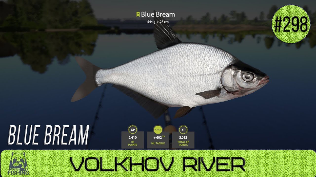 Russian Fishing 4 - Volkhov River - Blue Bream - #298