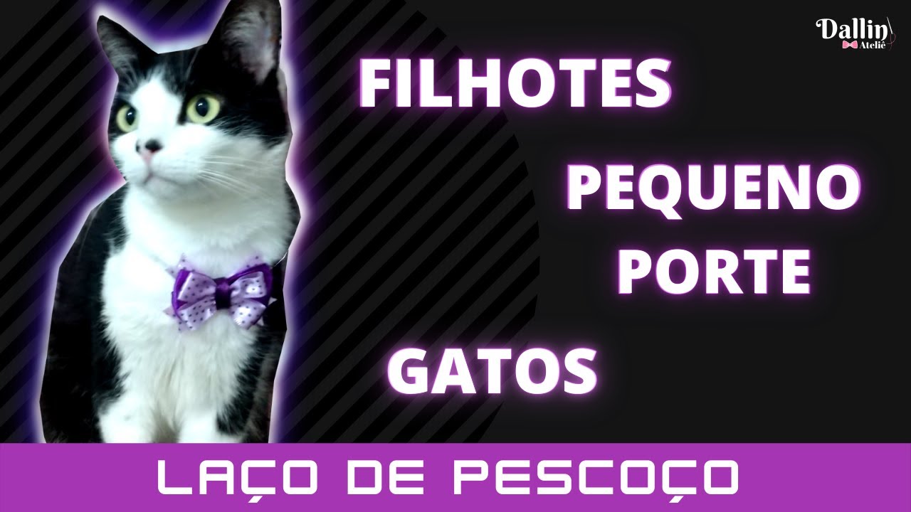 Laço de Pescoço Pet: Raças Pequenas | Filhotes | Gatos (Sugestão de Preço)