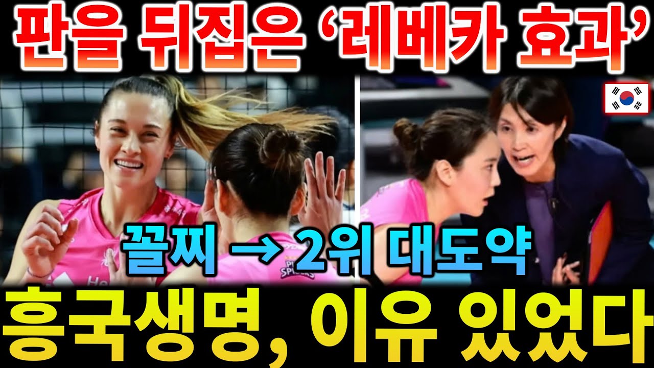 판을 뒤집은 '레베카 효과' 실체 분석! 흥국생명이 꼴찌에서 2위로 도약한 놀라운 이유 (첫 MVP 비하인드) | 여자배구 V리그
