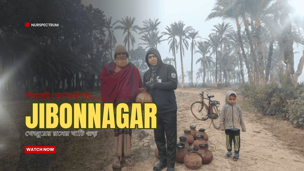 খুব সহজেই খেজুরের রসের খাঁটি গুড় চিনার উপায় ।