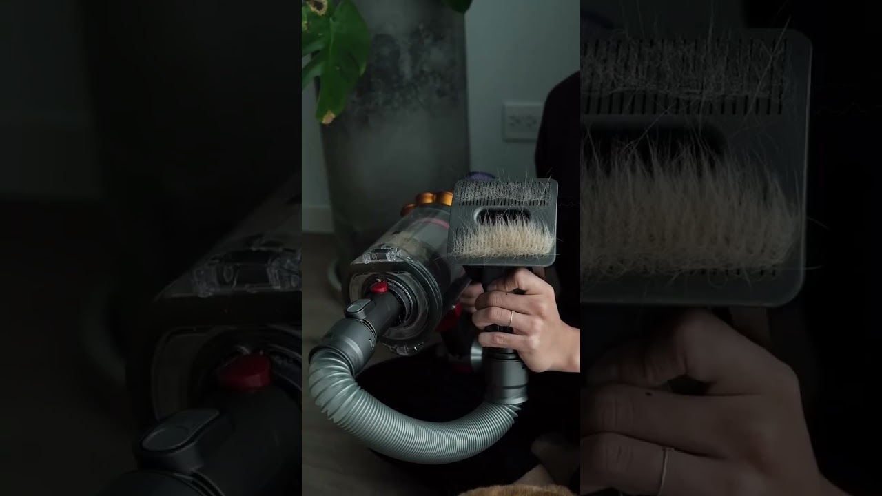 TESTING DYSON PET GROOMING TOOL ON OUR DOGS | Life with Crumpet The Corgi & Butter The Chow Chow