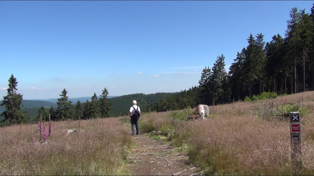 Impressionen vom Rothaarsteig - Wanderung vom Rhein-Weser-Turm nach Jagdhaus