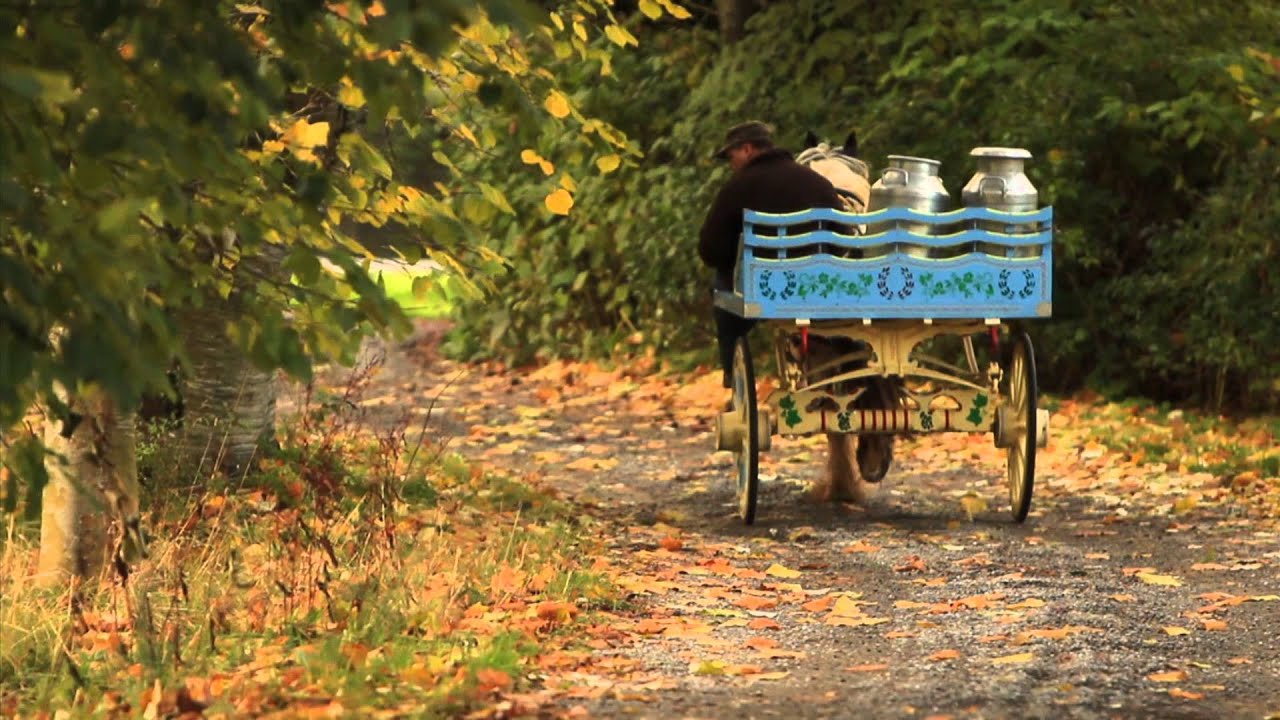 Tommy Doran The Street Singer - Gypsy Daydee