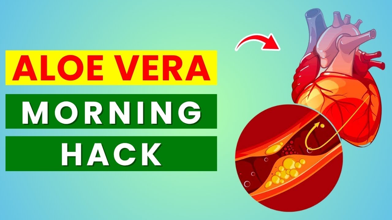Eat Aloe Vera on an Empty Stomach and See What Happens to Your Body (Not What You Think)
