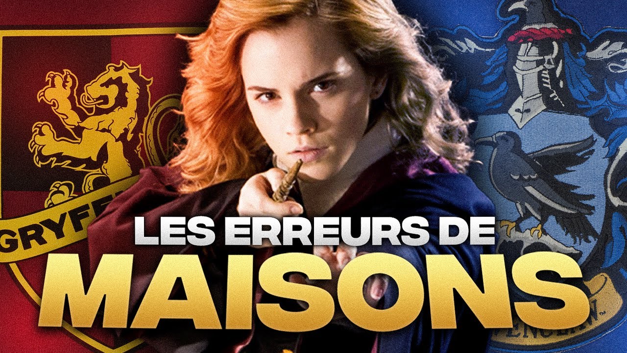 Les 10 Persos qui Sont Dans les MAUVAISES MAISONS dans Harry Potter