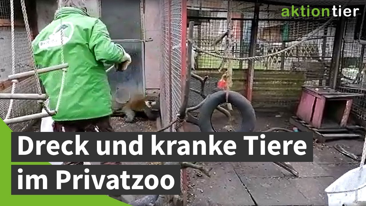 Privatzoo in Nauen war auch für Besucher gefährlich!