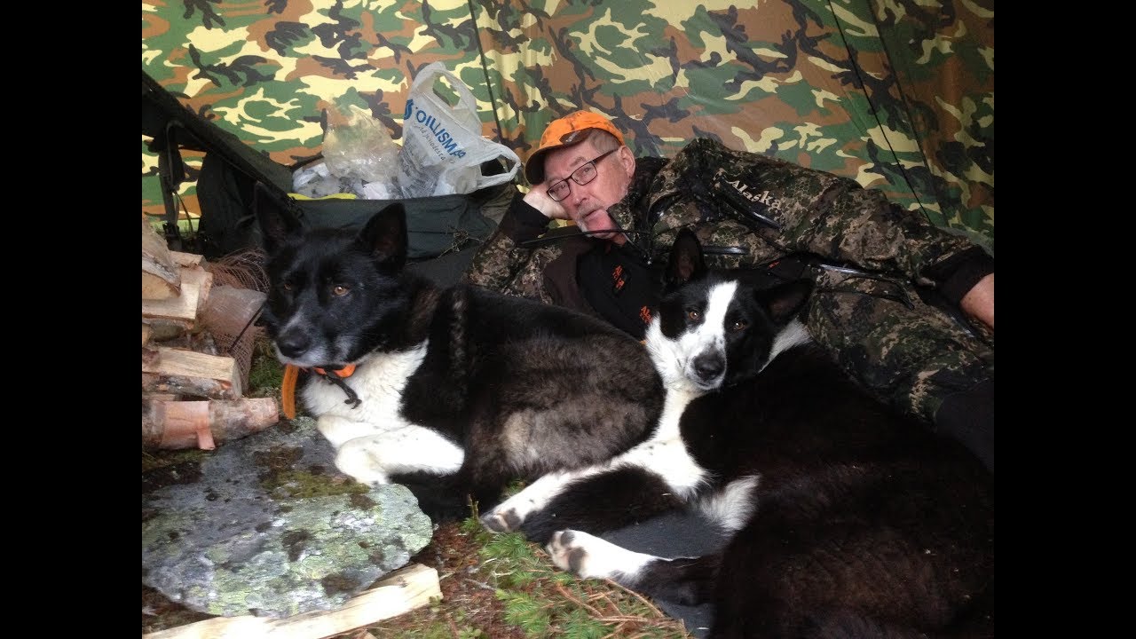 V&auml;rri&ouml; syys  2017