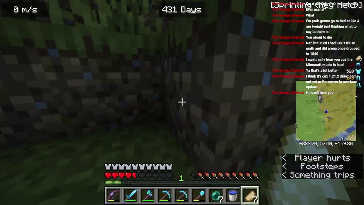 come chill with me! (java smp stream) 