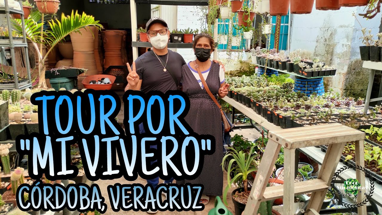 TOUR POR 