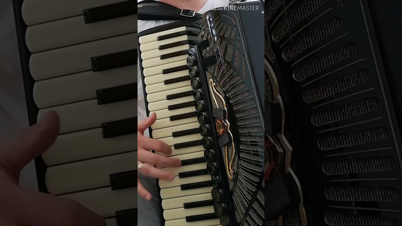 Šumadinac u Parizu cover Mirza Babanović