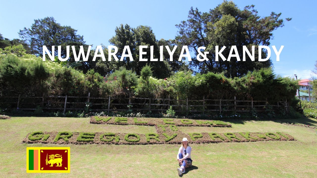 SCENIC TRAIN RIDE FROM ELLA TO NUWARA ELIYA AND EXPLORING KANDY AT NIGHT