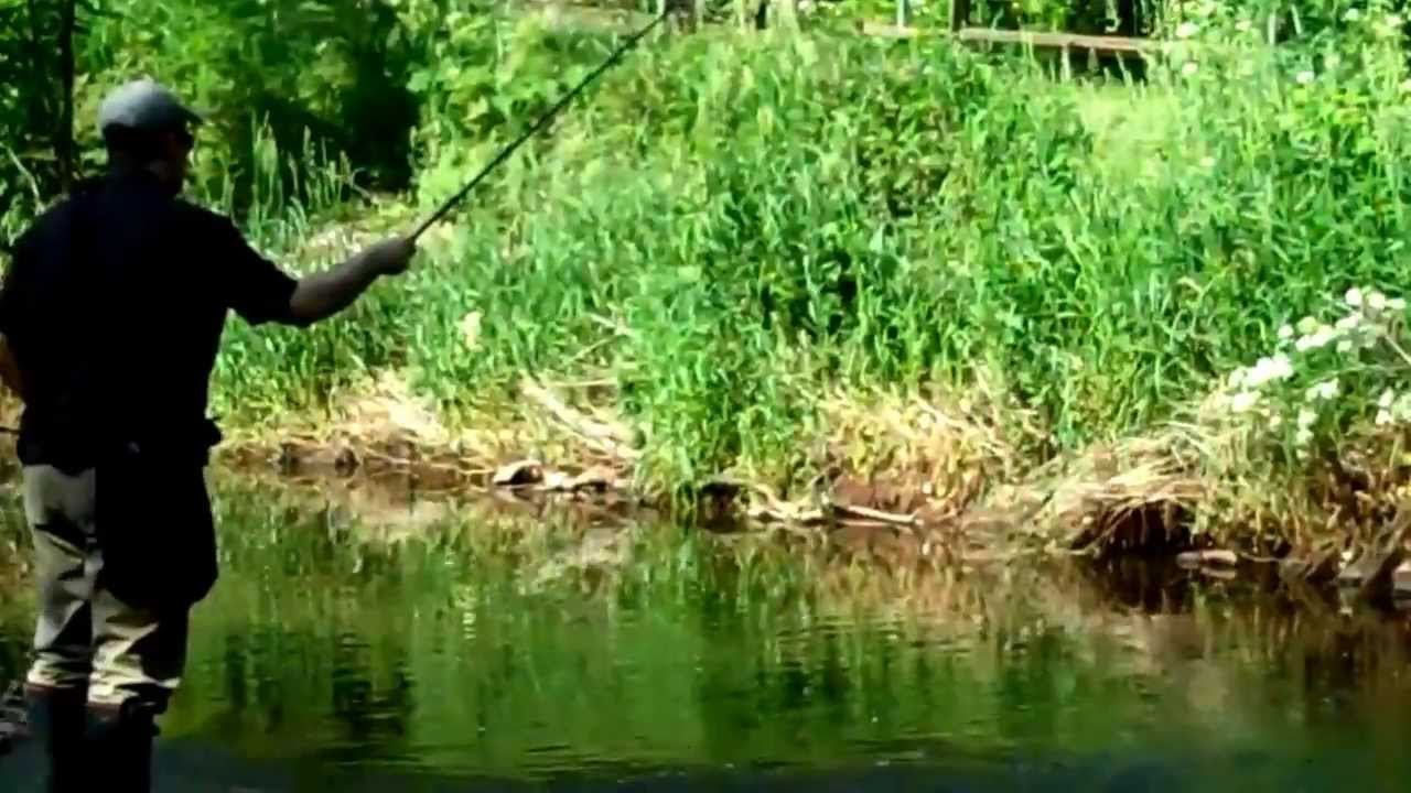 fishing with half a grain of rice - tanago (micro) fishing