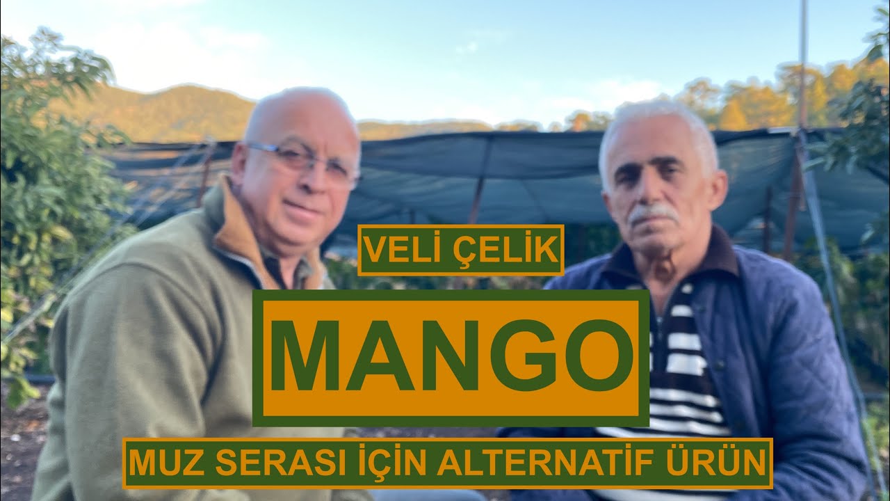 MANGO