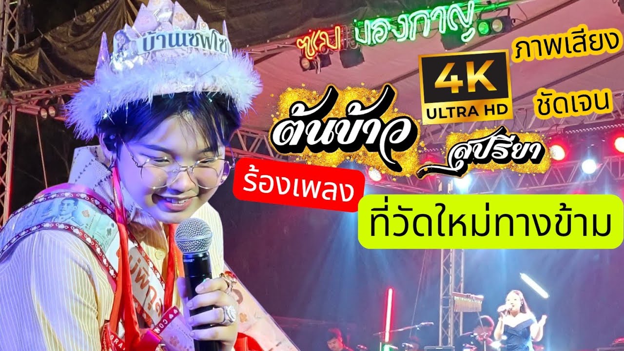 (4K)🌎น้องต้นข้าว🍅ร้องเพลงที่วัดใหม่ทางข้าม Fc ถึงกับแหวกรั้วดู😂