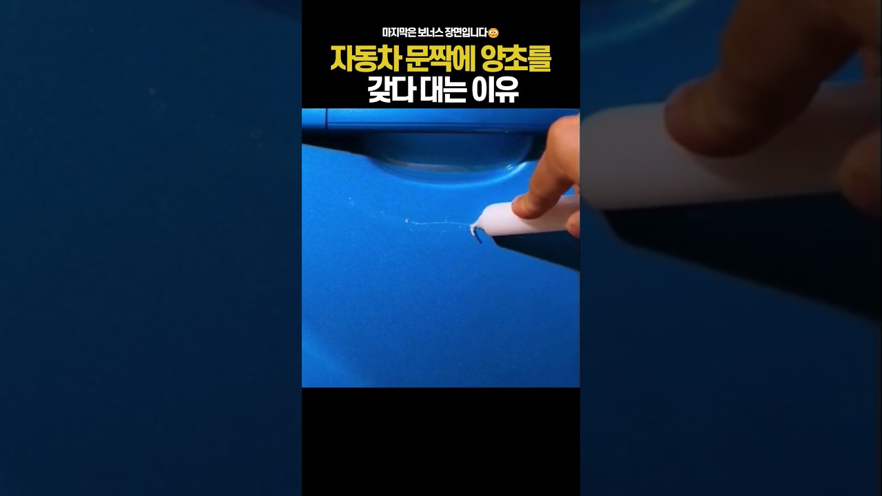 자동차 관리 꿀팁 3가지! 돈 아끼는 비법 공개