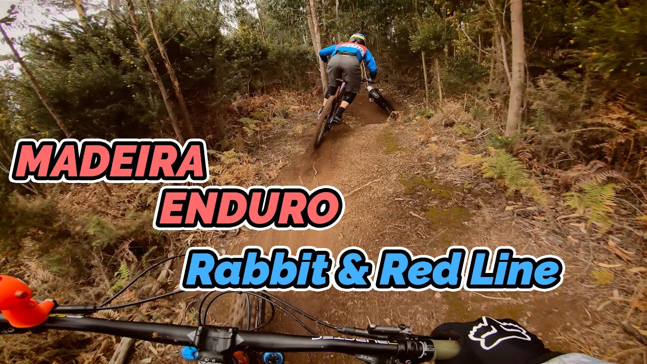 Madeira Enduro MTB - Rabbit & Red Line with Gee