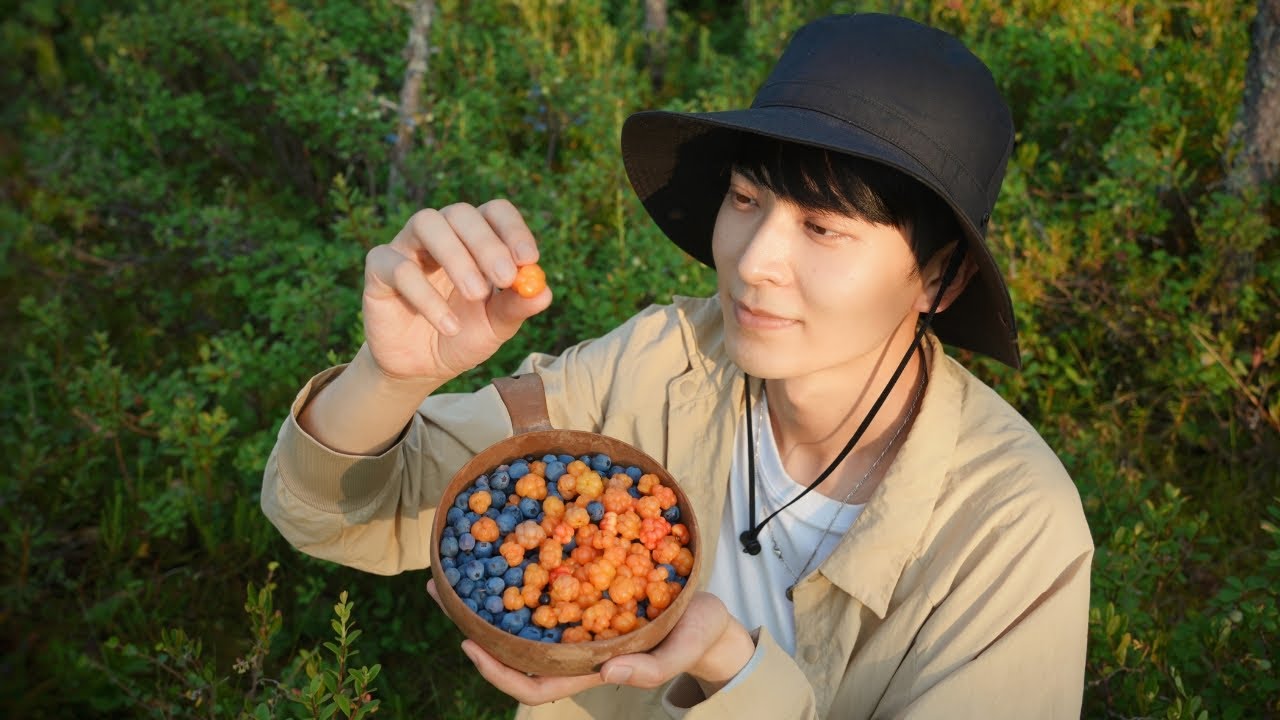 Can You Find These Secret Fruits in the Forest?