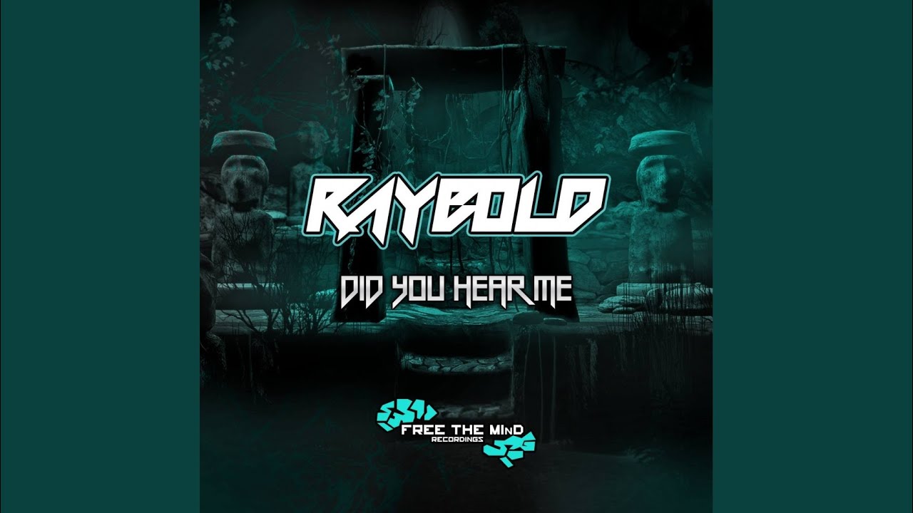Did You Hear Me (Original Mix)