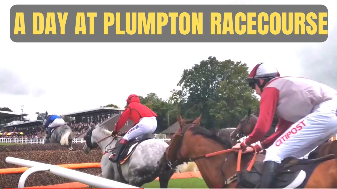 A Day at Plumpton Racecourse