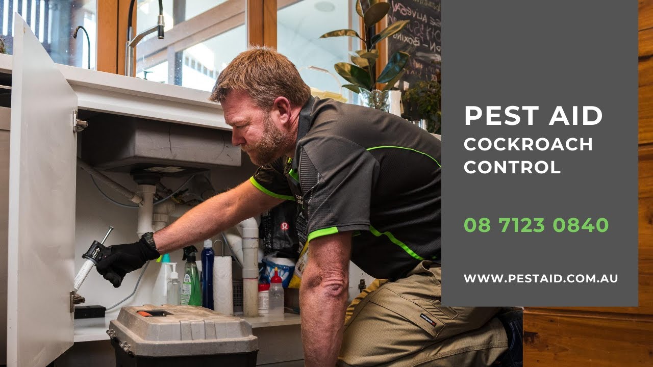 PEST AID Cockroach Control