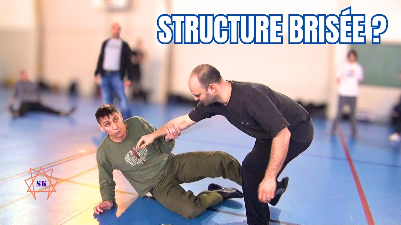 Systema – Défense quand la structure est brisée | Max Franz (Paris 2013) – Vol. 1
