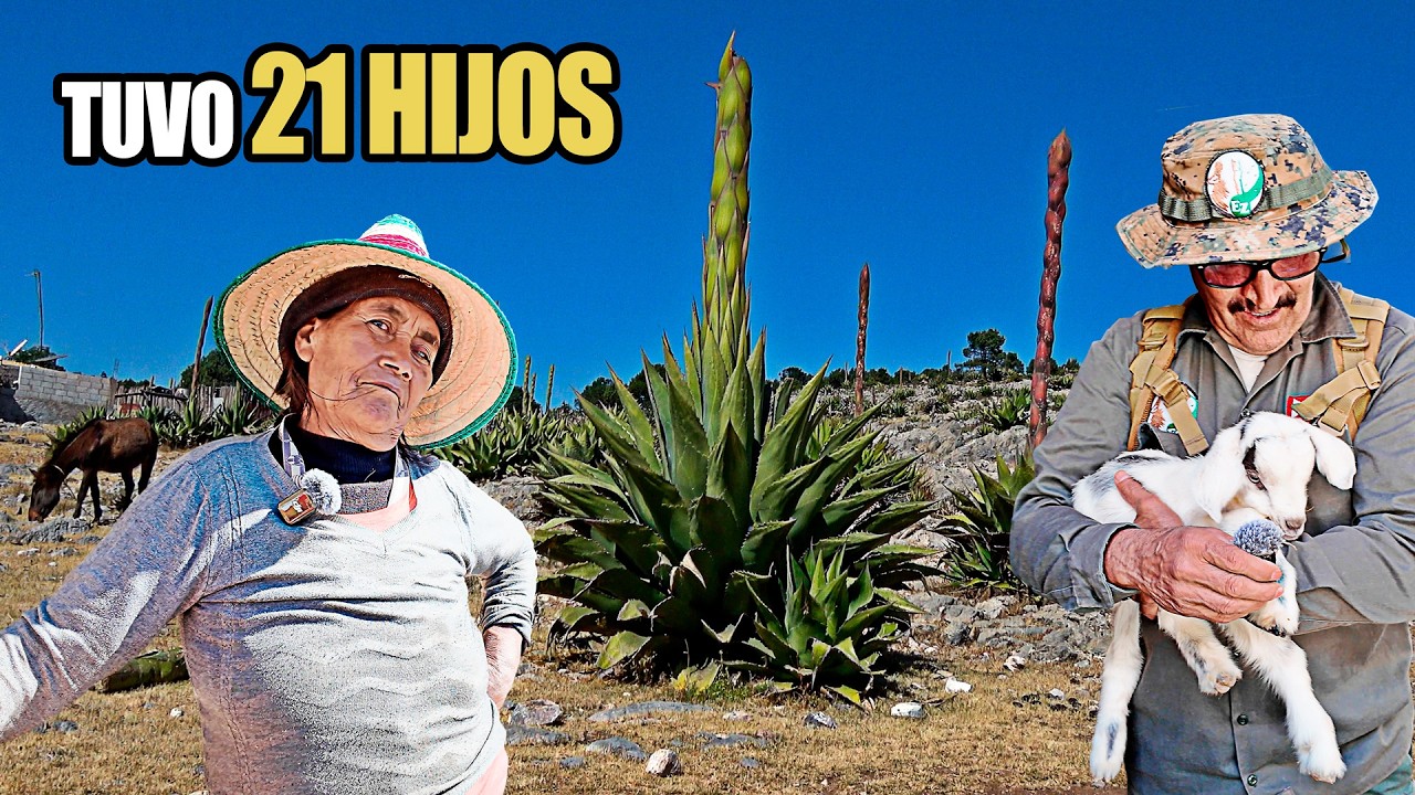Esta MUJER creó un RANCHO en la sierra | Tuvo 21 HIJOS y aún sube al cerro a los 76 AÑOS
