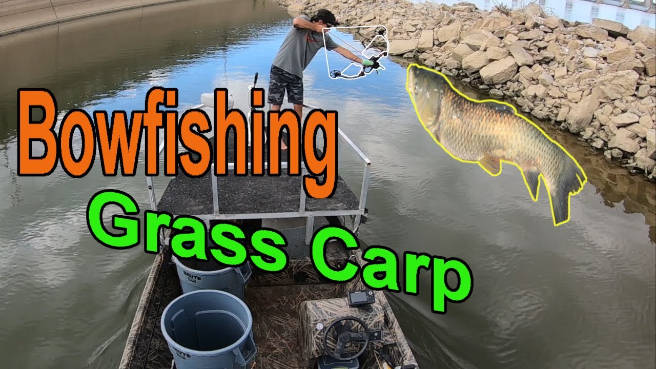 Bowfishing Grass Carp in Kentucky! Day Time