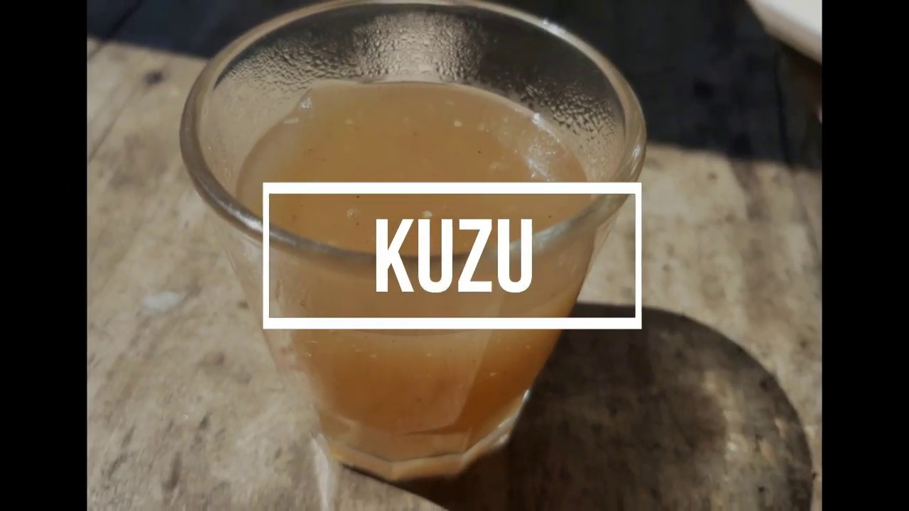Rezept. KUZU MIT APFELSAFT + INGWER: regelt die Verdauung und deine Emotionen Antistress Makrobiotik