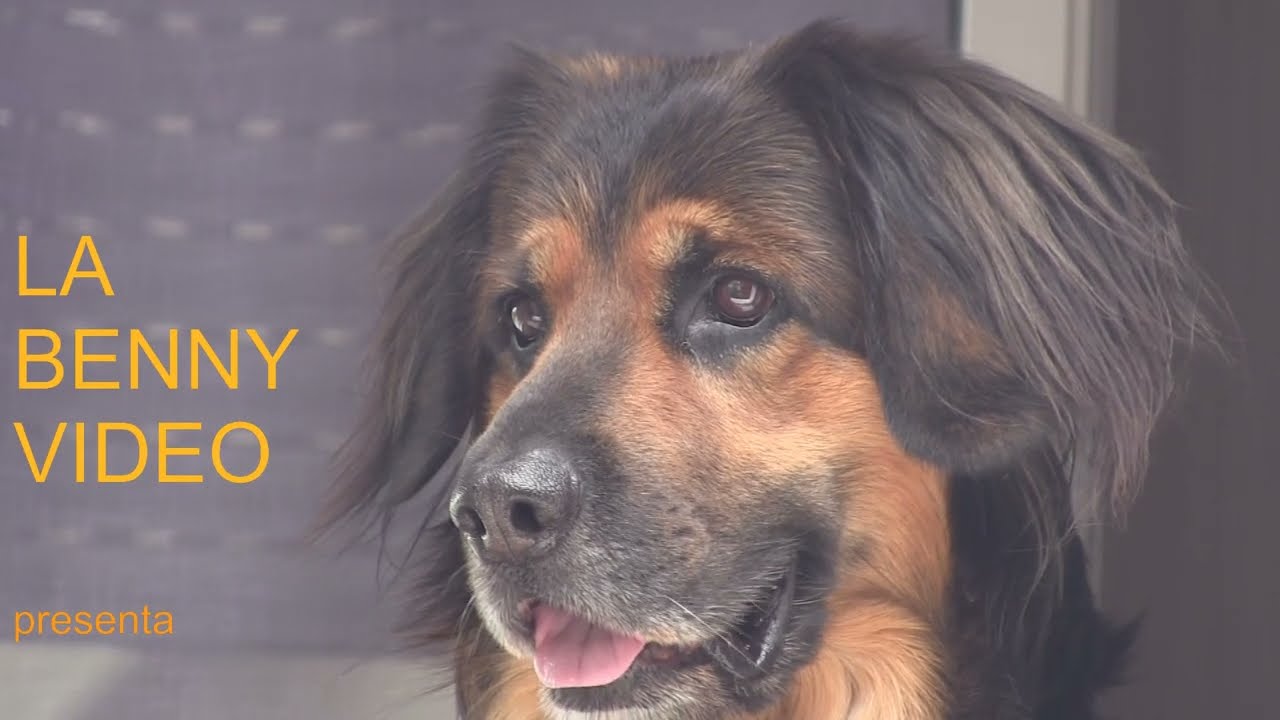 MONTORFANO UNA MONTAGNA DAL CUORE DI GRANITO