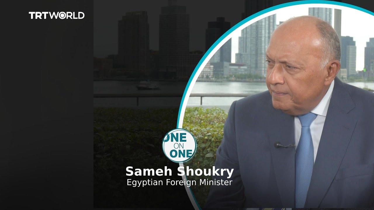 One on One Egyptian Foreign Minister Sameh Shoukry