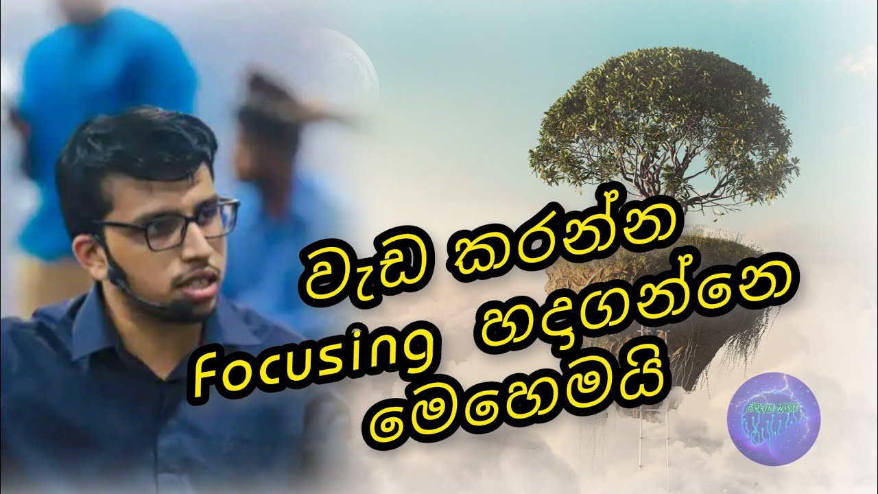 වැඩ කරන්න Focusing හදාගන්නෙ මෙහෙමයි | Amila Dasanayake Sir | Motivational Speech | Brain Wise