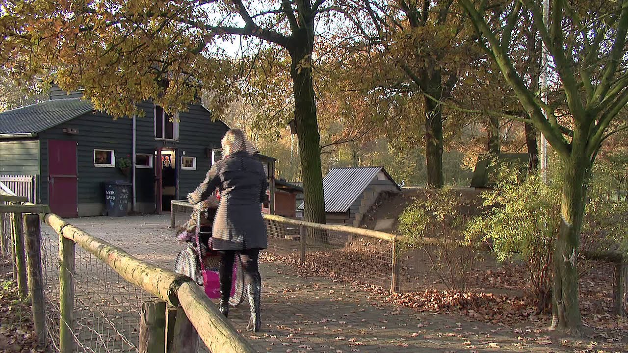 Zozijn Kind & Jeugd