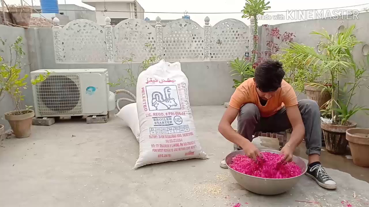 12 rabi ul awal ki tayariya|Eid milad-un-nabi prepation|12 rabi-ul-awal prepation