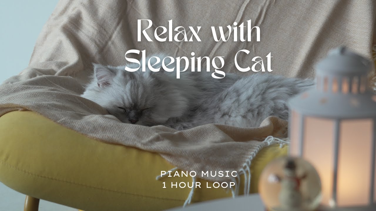 Slow Days with Sleeping Cat | 1 Hour Loop | Relaxing Piano Music